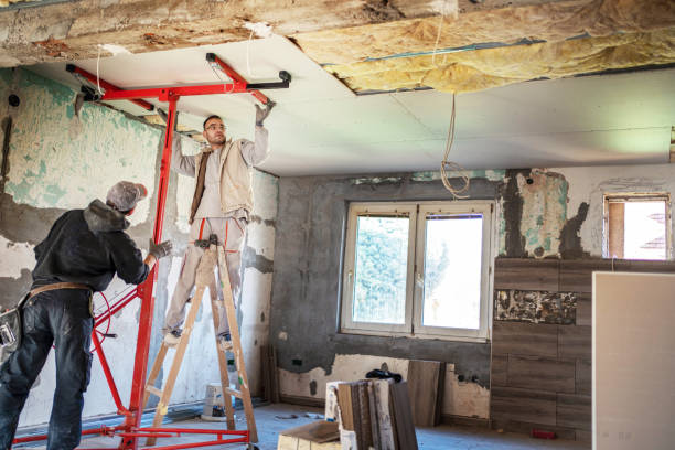 Types of Insulation We Offer in Bay Hill, FL